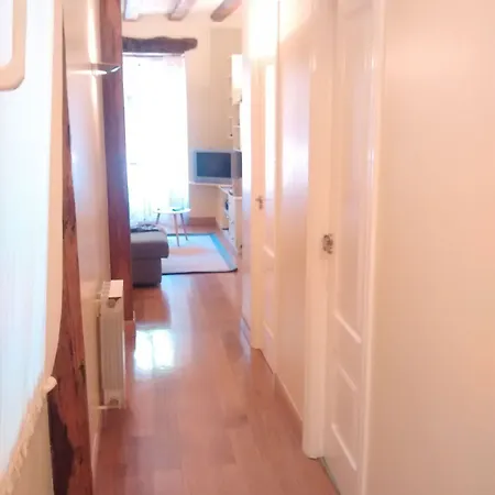 Fermin Apartment *